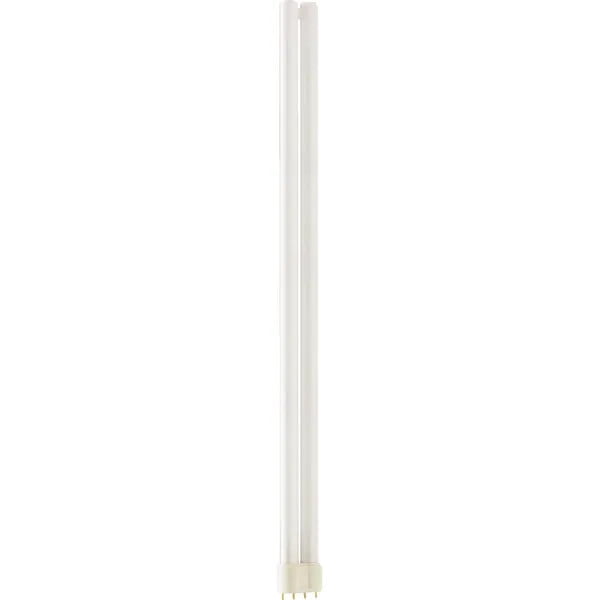 MEISTER PL-L 55W 830 4P 1CT 25