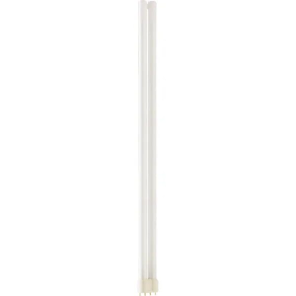 MEISTER PL-L 80W 830 4P 1CT 25