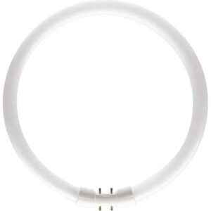 MASTER TL5 Circular 55W/830 1CT/10 bulb on white background.