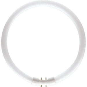MASTER TL5 Circular 60W/840 1CT/10 bulb on white background.