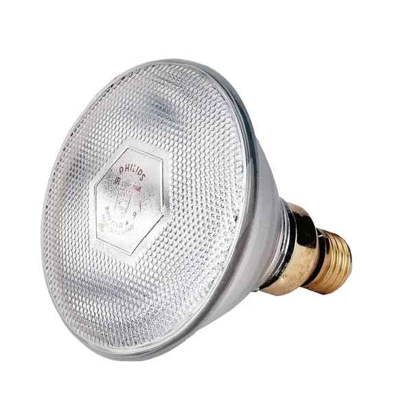 IR PAR38 E27 240V 175W Clear
